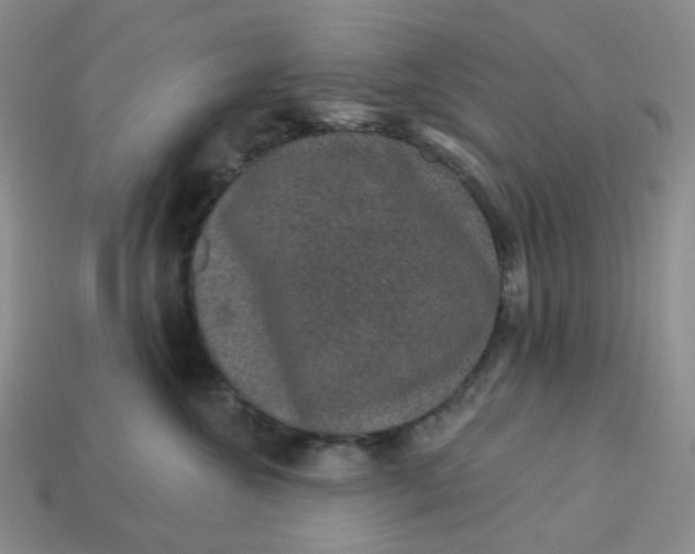 X0000113270572200910011430