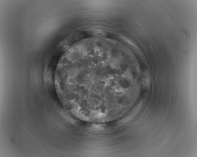 X0000113270573200910011430