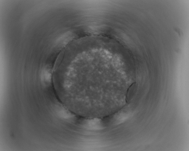 X0000113270576200910011430