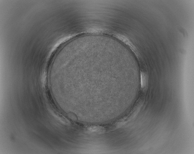 X0000113270579200910011430