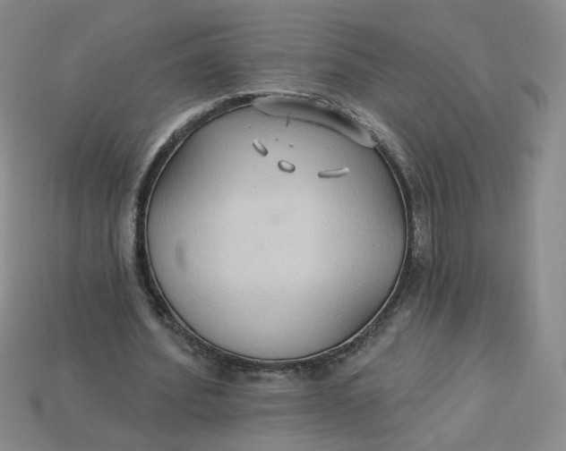 X0000113270580200910011430