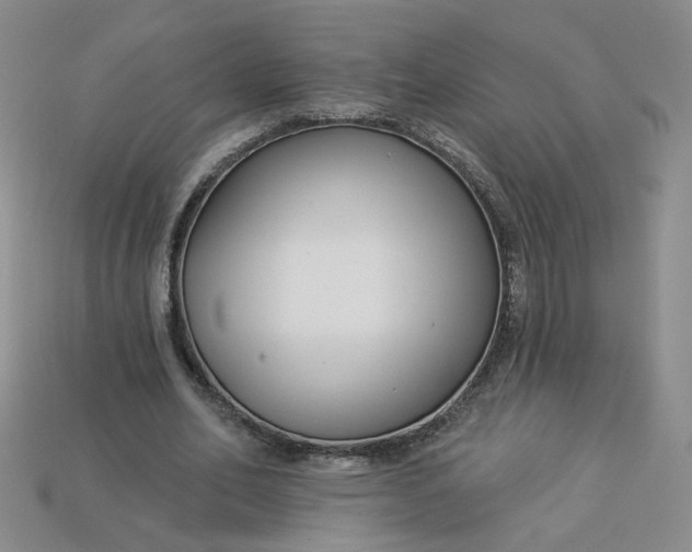 X0000113270582200910011430