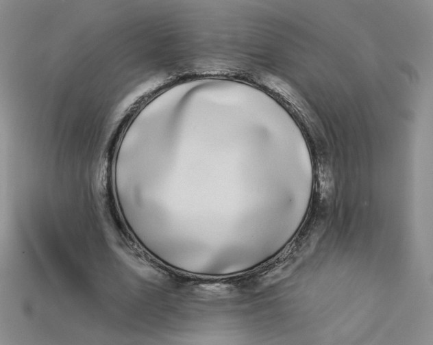 X0000113270583200910011430