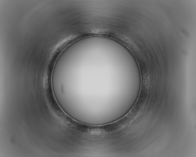 X0000113270587200910011430