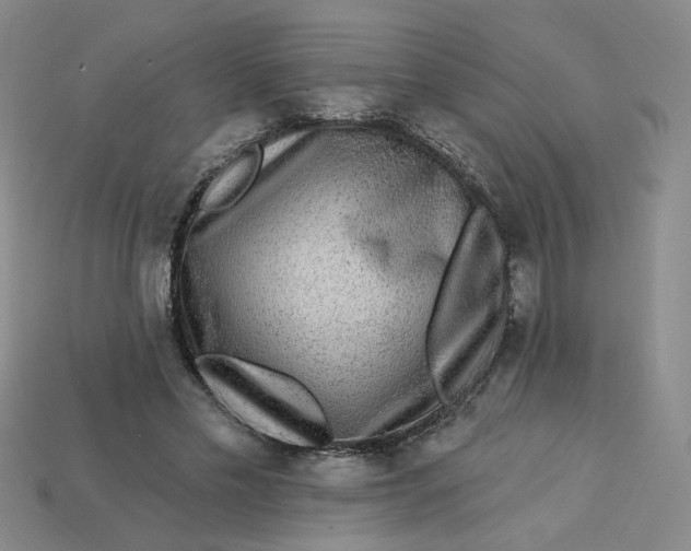 X0000113270589200910011430