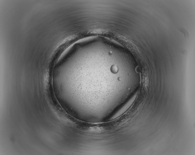 X0000113270591200910011430