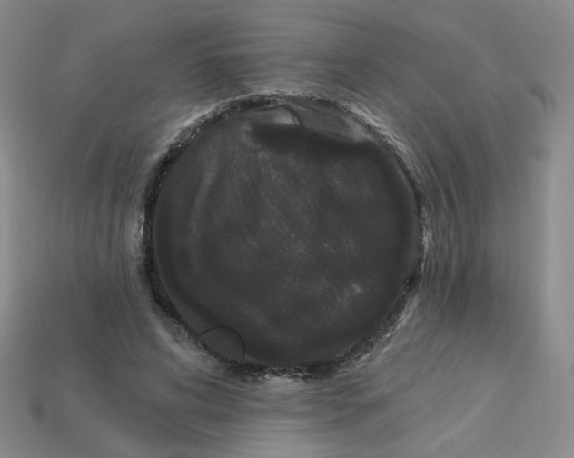 X0000113270592200910011430