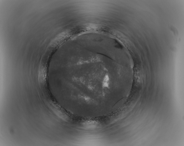 X0000113270593200910011429