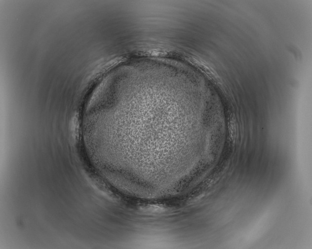 X0000113270594200910011429