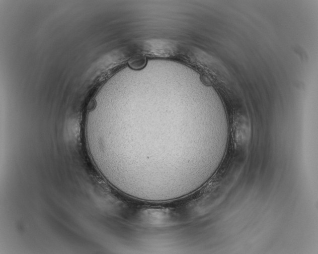 X0000113270595200910011429