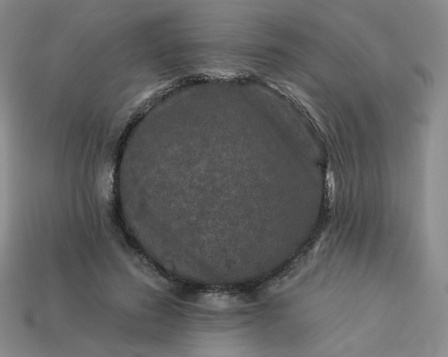 X0000113270596200910011429