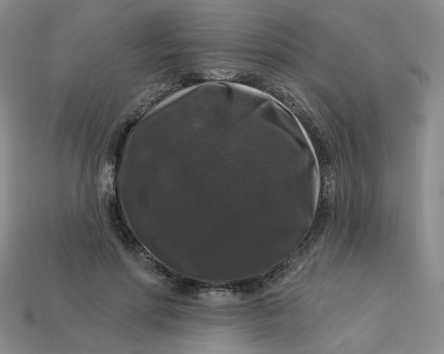 X0000113270598200910011429