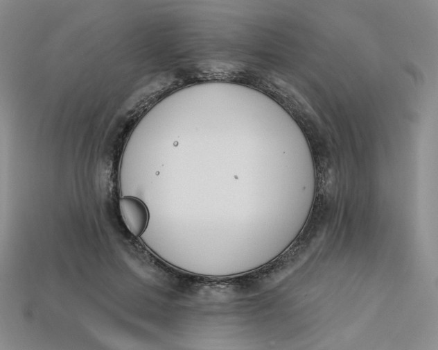 X0000113270599200910011429