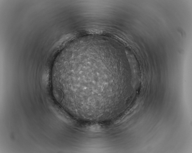 X0000113270600200910011429