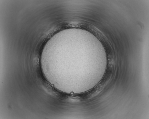 X0000113270603200910011429