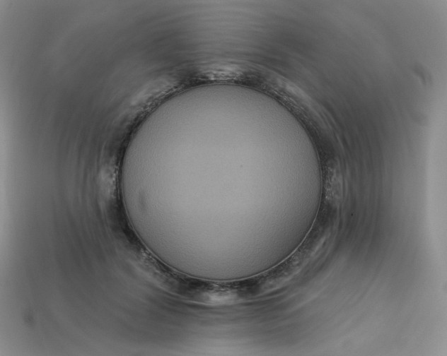 X0000113270604200910011429