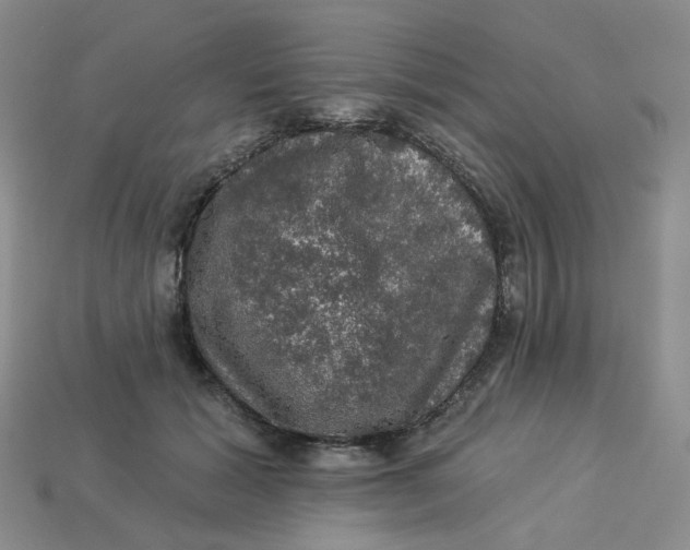 X0000113270605200910011429