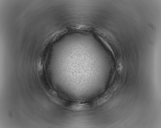 X0000113270607200910011429