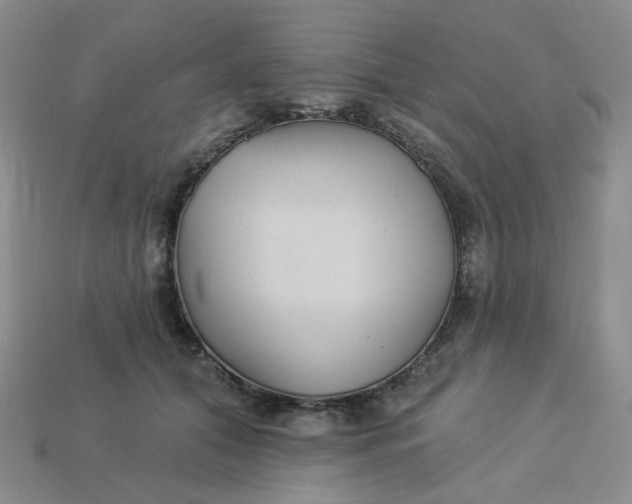 X0000113270608200910011429