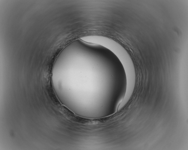 X0000113270609200910011429