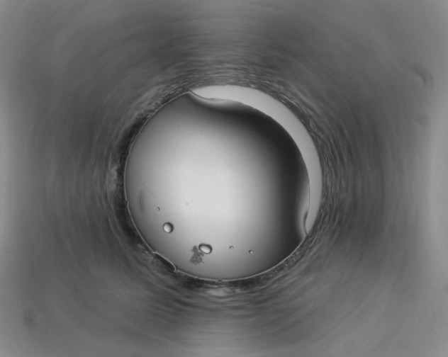 X0000113270611200910011429