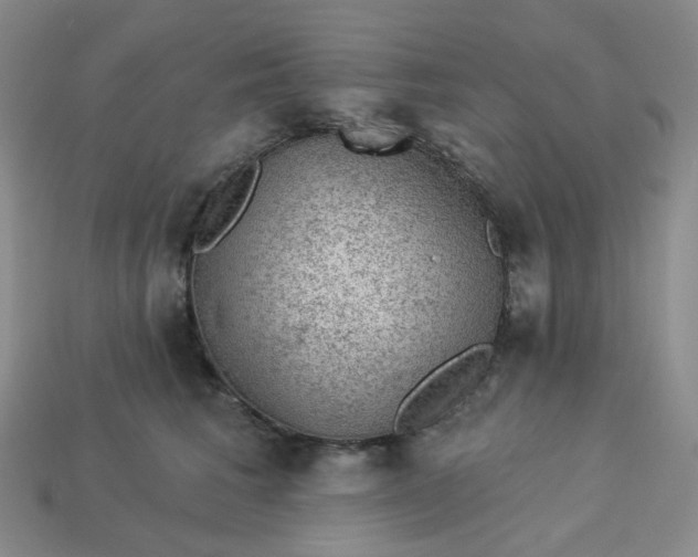 X0000113270613200910011429