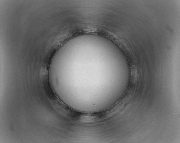 X0000113270614200910011429