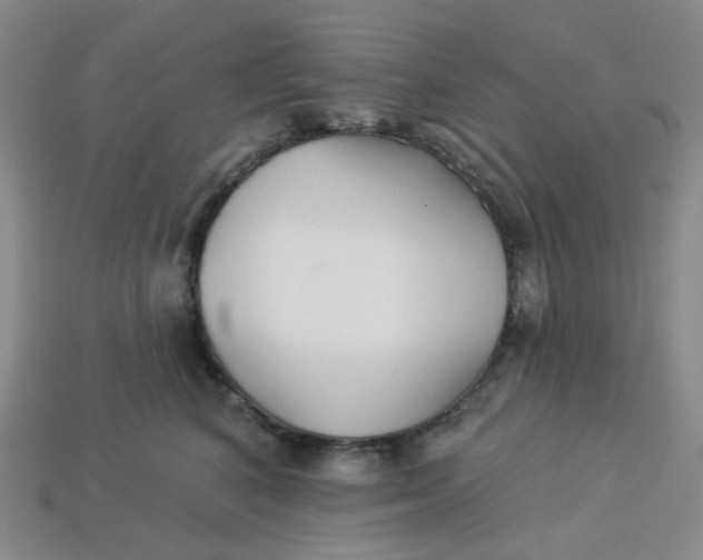 X0000113270616200910011429