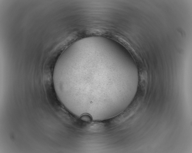 X0000113270617200910011429