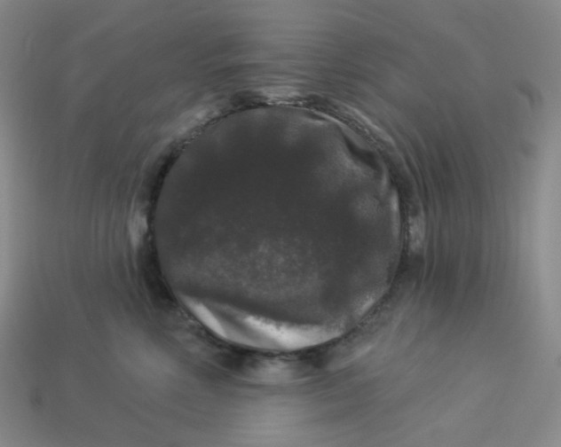 X0000113270618200910011429