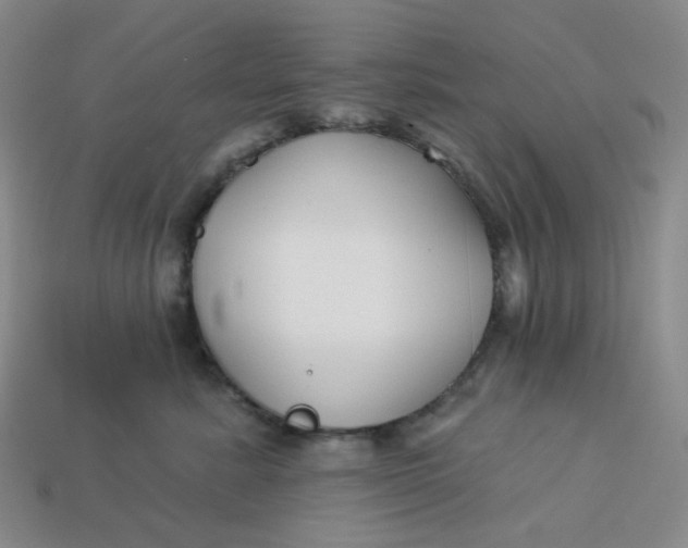 X0000113270619200910011429