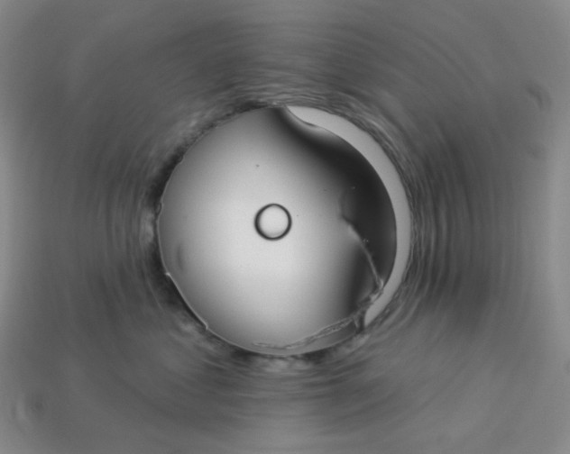 X0000113270621200910011429