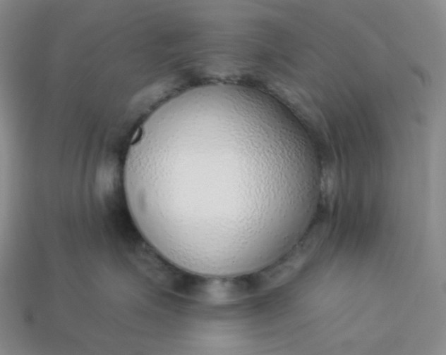 X0000113270623200910011429