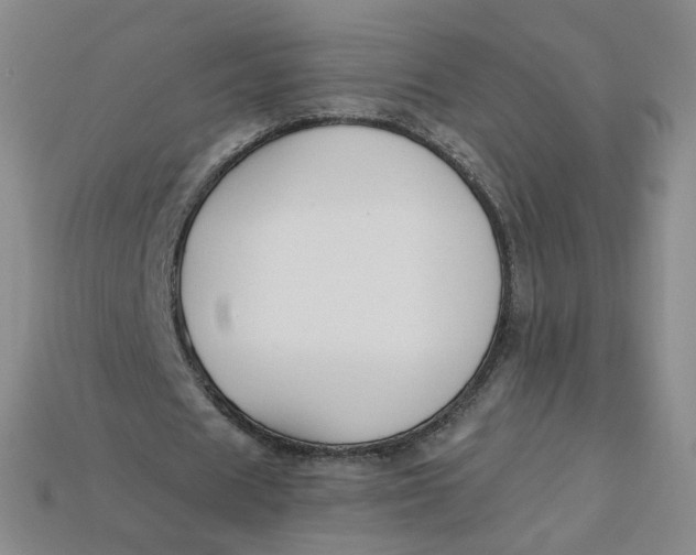 X0000113270625200910011428