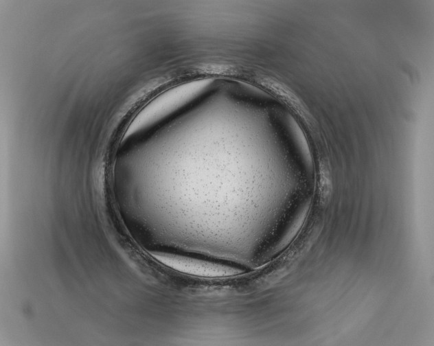 X0000113270626200910011428