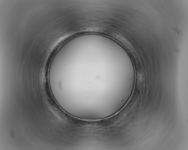 X0000113270628200910011429