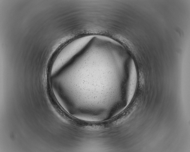 X0000113270630200910011429