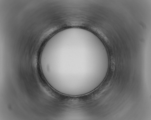 X0000113270631200910011429