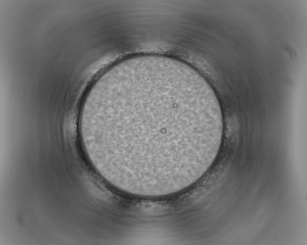 X0000113270632200910011429