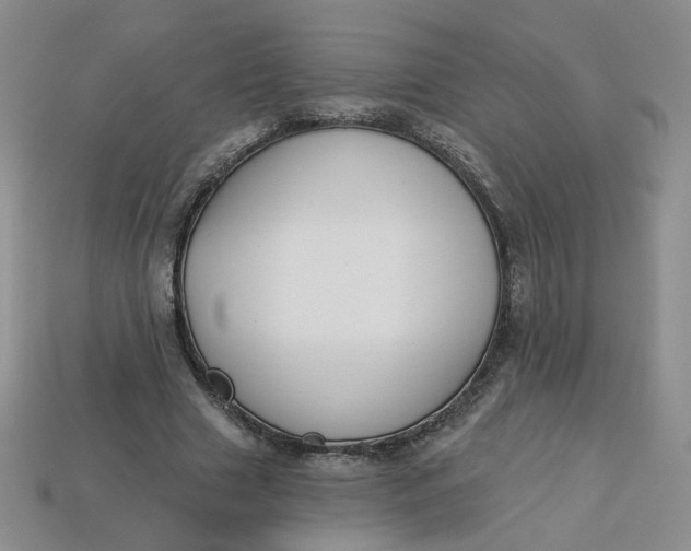 X0000113270633200910011429