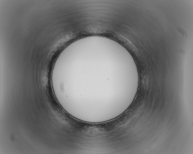 X0000113270635200910011429