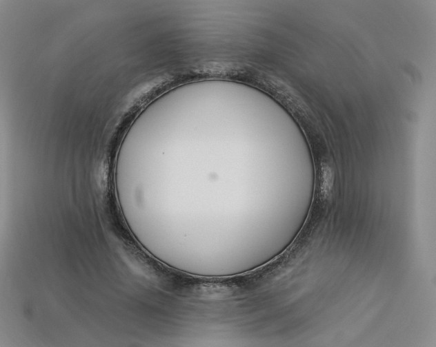 X0000113270636200910011429