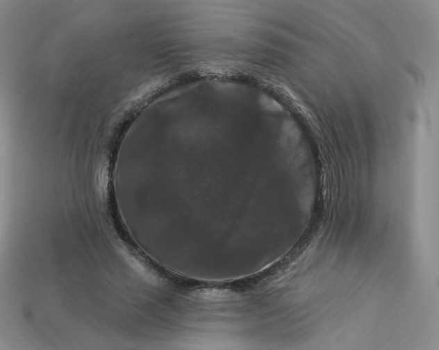 X0000113270637200910011429