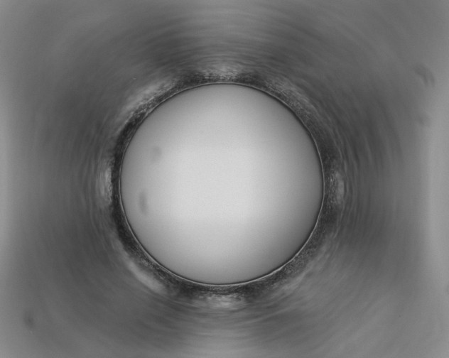 X0000113270638200910011429