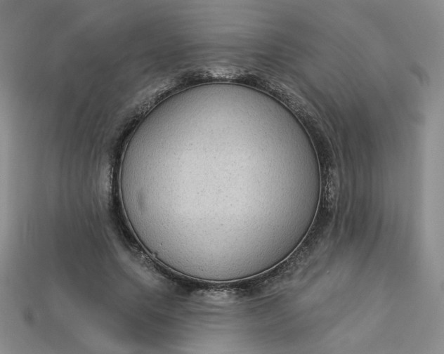 X0000113270639200910011429