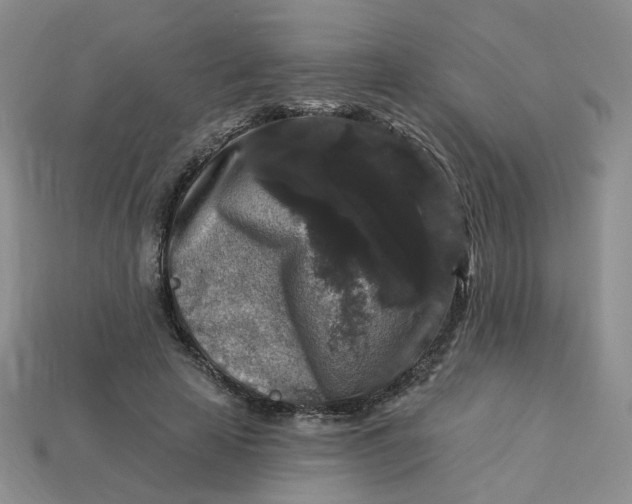 X0000113270641200910011429