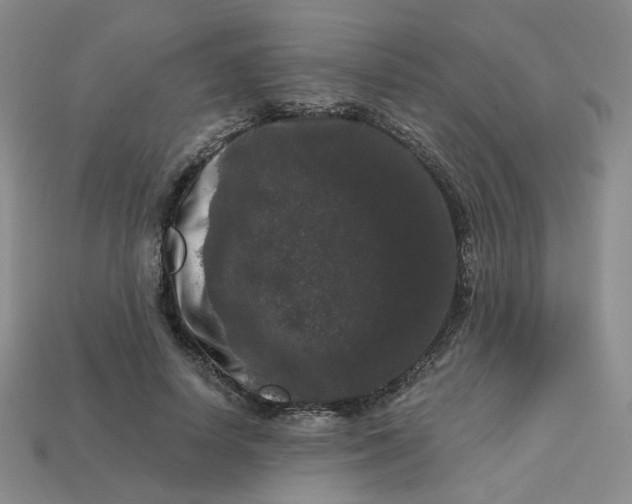 X0000113270642200910011429