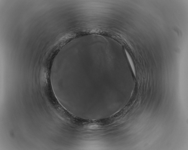 X0000113270643200910011429