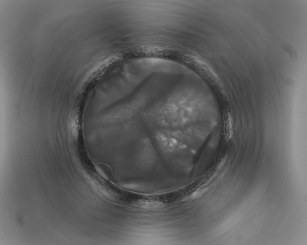 X0000113270644200910011429