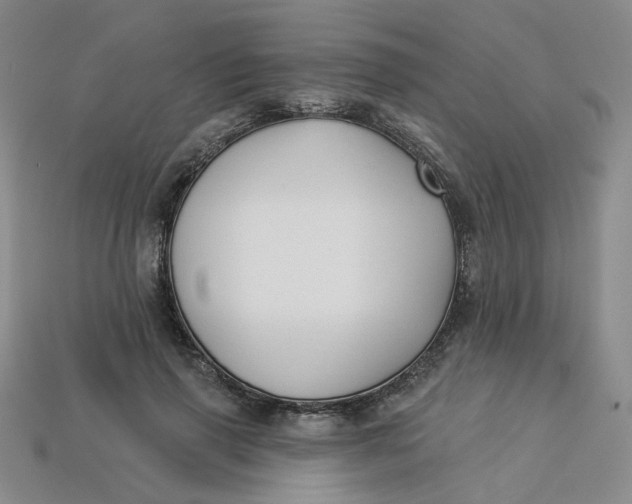 X0000113270645200910011429